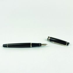 Waterman - stylo plume - Expert